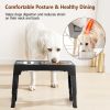 Dog Raised Bowls with 5 Adjustable Heights Stainless Steel Elevated Dog Bowls Foldable Double Bowl Dog Feeder for Small Medium Large Size Dog